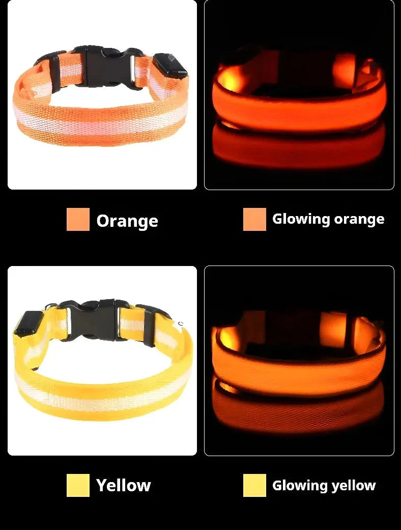 Dog Collar Nylon LED Night Safety Flashing Glow In The Dark Pet Dog Leash pet Dogs Luminous Fluorescent  dog accessories collar